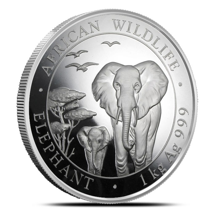 2015 1 kilo Silver Somalian Elephant Coin